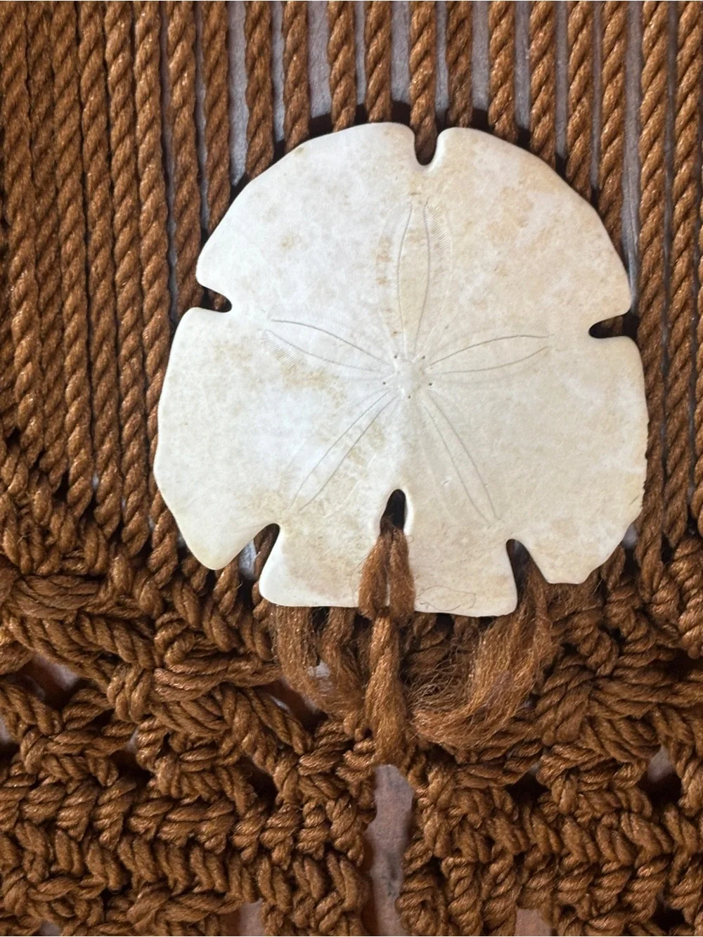Vintage Macrame Wall Hanging with Sand Dollar Accent